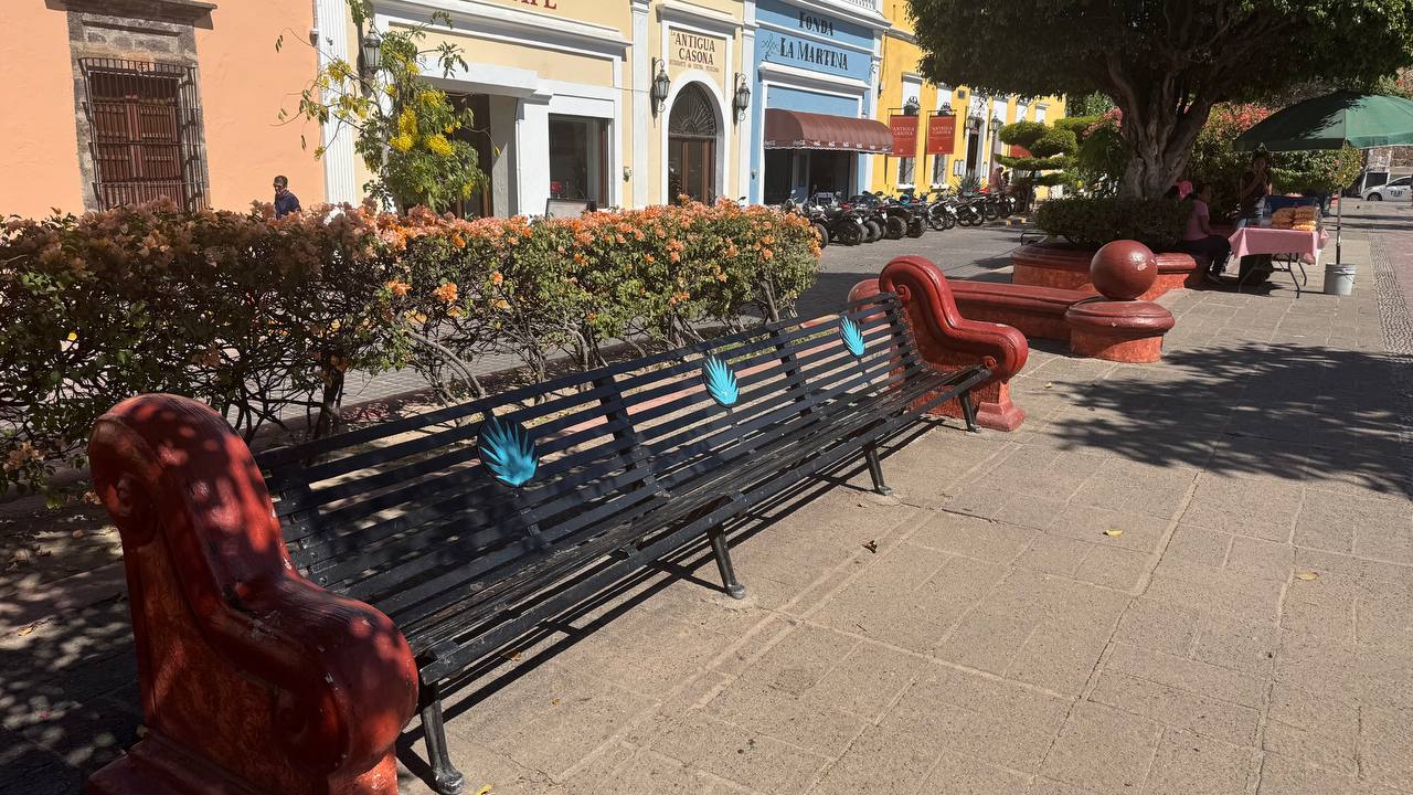 Как делают текилу: ферма голубой агавы в мексиканском городе Текила